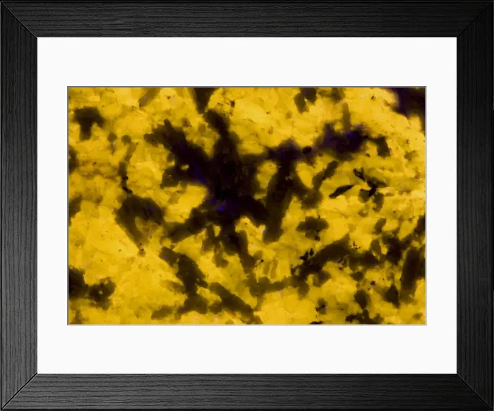 Framed Print : Fluorescent Mineral Meionite - Quebec - Canada - Photographed under UV lights Courtesy of Polman Minerals Framed Print : Fluorescent Mineral Meionite - Quebec - Canada - Photographed under UV lights Courtesy of Polman Minerals