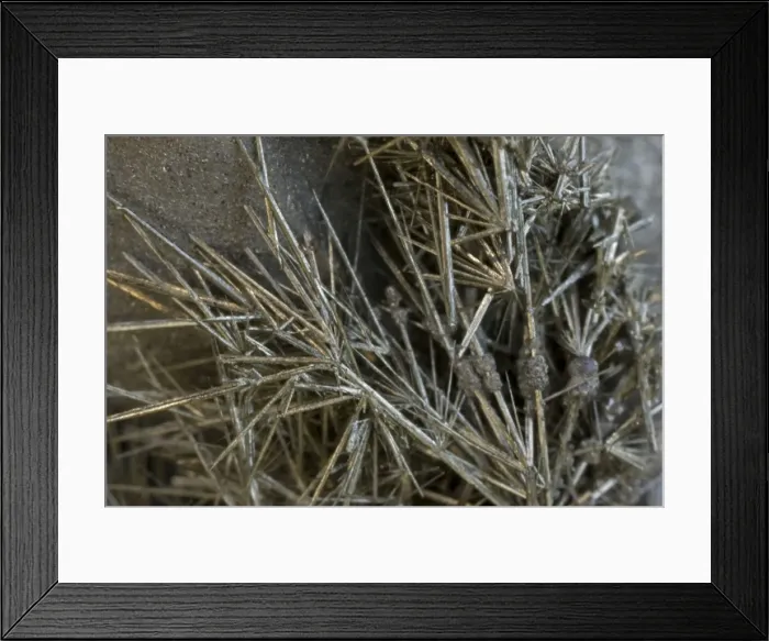 Framed Print : Millerite on Arsenian Pyrite - Elko County-Nevada Framed Print : Millerite on Arsenian Pyrite - Elko County-Nevada