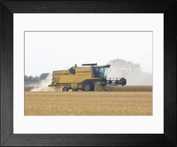 Framed Print : Farming - Combine Harvester - Wheat harvest - Norfolk - UK Framed Print : Farming - Combine Harvester - Wheat harvest - Norfolk - UK
