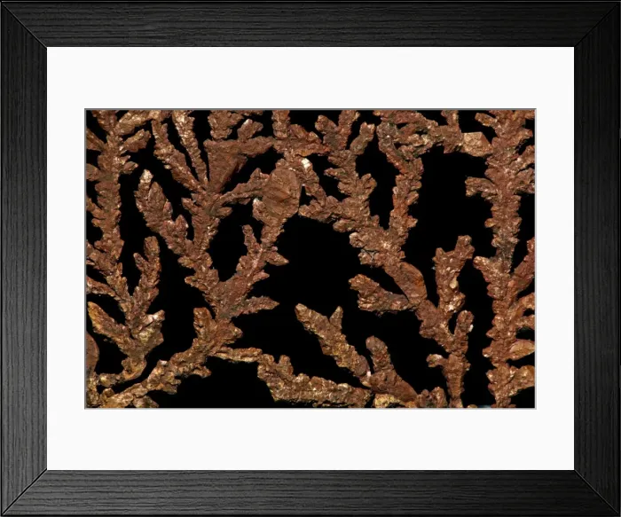 Framed Print : Native Copper - Bolivia Framed Print : Native Copper - Bolivia