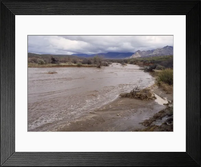 Framed Print : Flash Flooding Sonoran Desert, Arizona, USA Framed Print : Flash Flooding Sonoran Desert, Arizona, USA