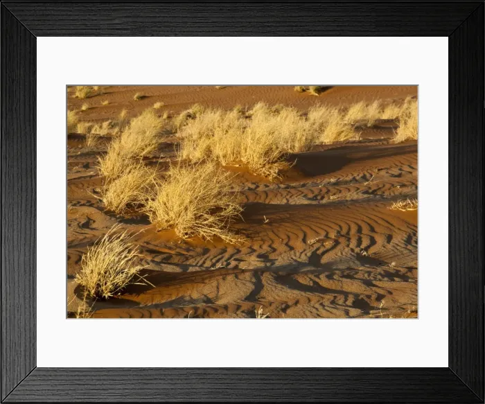 Framed Print : Sand patterns and dry vegetation - Sossusvlei - Namibia Framed Print : Sand patterns and dry vegetation - Sossusvlei - Namibia