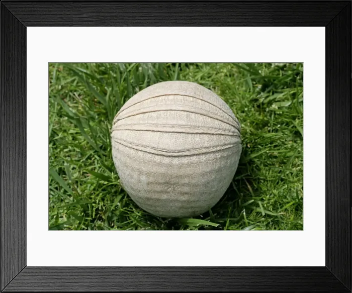 Framed Print : Three-Banded Armadillo FG 12426 Curled up in protective position Range: Argentina, Paraguay, parts of Brazil Tolypeutes matacus © Francois Gohier / ardea. com Framed Print : Three-Banded Armadillo FG 12426 Curled up in protective position Range: Argentina, Paraguay, parts of Brazil Tolypeutes matacus © Francois Gohier / ardea. com