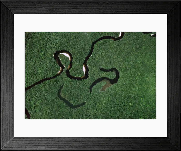 Framed Print : Aerial view of Rain Forest with Caroni River and Ox-Bows, Venezuela, South America Framed Print : Aerial view of Rain Forest with Caroni River and Ox-Bows, Venezuela, South America
