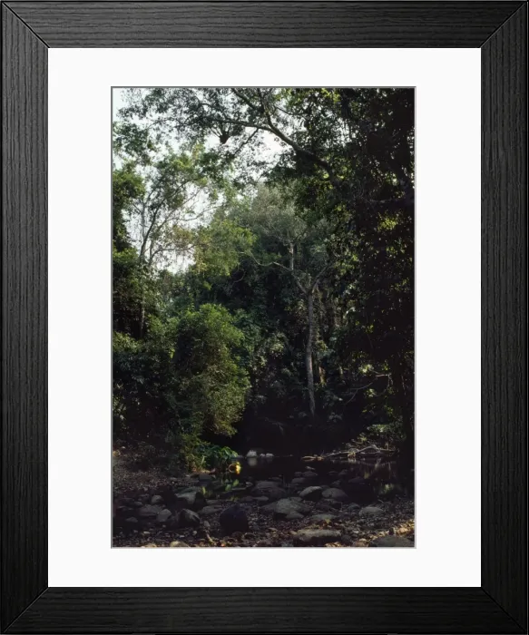 Framed Print : Thailand River crossing tropical lowland forest in Khao Yai National Park Framed Print : Thailand River crossing tropical lowland forest in Khao Yai National Park