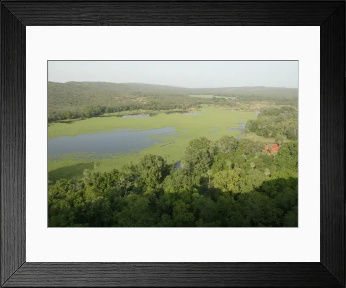 Framed Print : INDIA - Padam Talao, Aerial view of lakeside forest after the monsoon Ranthambhore NP, Rajasthan, India Framed Print : INDIA - Padam Talao, Aerial view of lakeside forest after the monsoon Ranthambhore NP, Rajasthan, India