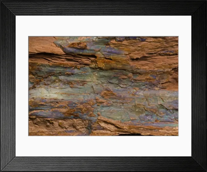 Framed Print : Opalized Wood - Rainbow Ridge Opal Mine - Denio-Nevada, USA - Mid-Miocene - 15 million years - coniferous tree Framed Print : Opalized Wood - Rainbow Ridge Opal Mine - Denio-Nevada, USA - Mid-Miocene - 15 million years - coniferous tree