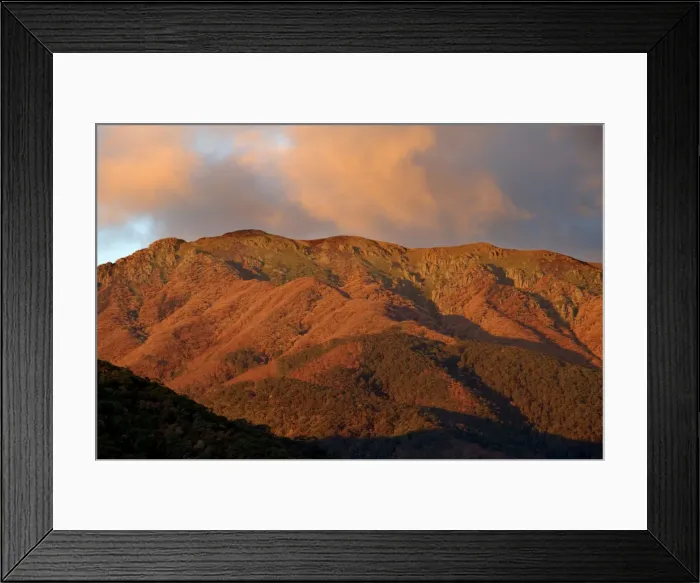 Framed Print : Mount Bogong JLR 50 Bogong high plains, North East Victoria, Australia © Jean-Marc La-Roque / ardea. com Framed Print : Mount Bogong JLR 50 Bogong high plains, North East Victoria, Australia © Jean-Marc La-Roque / ardea. com