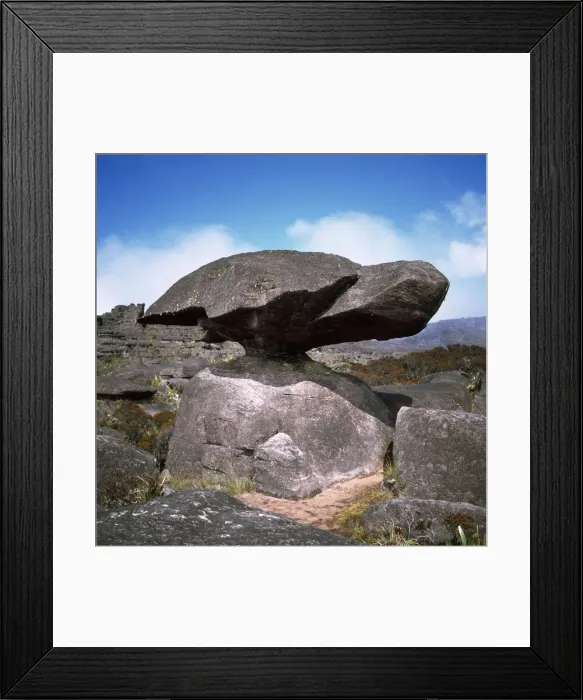 Framed Print : Mount Roraima summit: turtle rock, Estado Bolivar, Venezuela, South America Framed Print : Mount Roraima summit: turtle rock, Estado Bolivar, Venezuela, South America