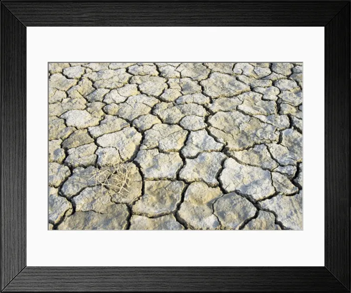 Framed Print : Cracked soil in a desert near Kum-Dag - summer - Turkmenistan - former CIS Tm31. 0153(1805)