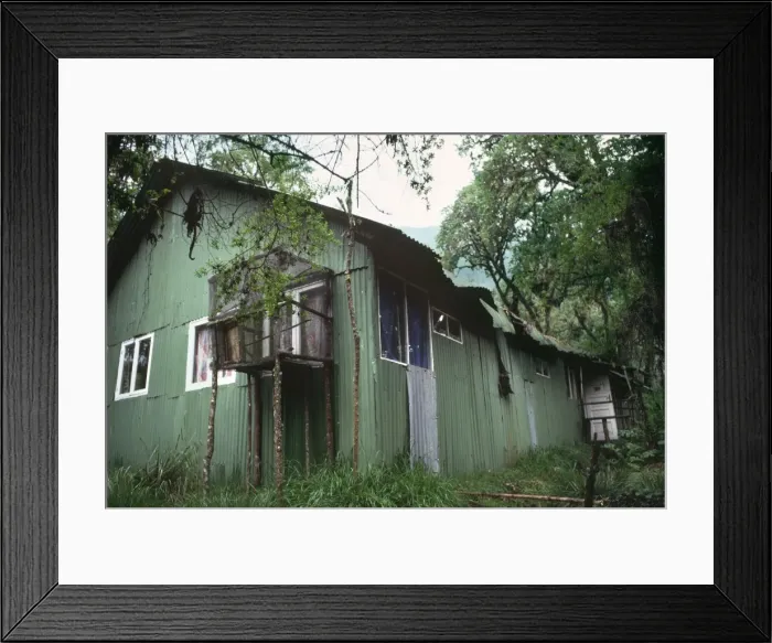 Framed Print : Dian Fossey's Cabin, Karisoke Mountain Gorilla research centre, Virunga Volcanoes, Rwanda, Africa Framed Print : Dian Fossey's Cabin, Karisoke Mountain Gorilla research centre, Virunga Volcanoes, Rwanda, Africa