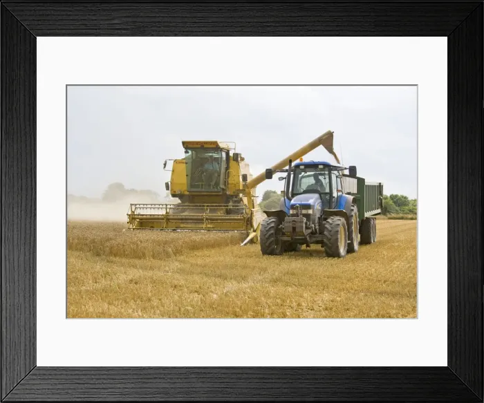 Framed Print : Farming - Combine Harvester and Tractor - Wheat harvest - Norfolk - UK Framed Print : Farming - Combine Harvester and Tractor - Wheat harvest - Norfolk - UK