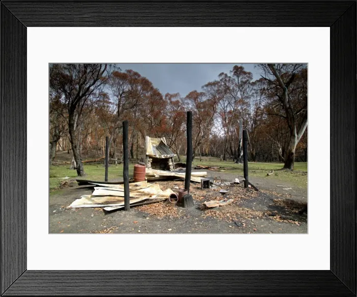 Framed Print : Burnt out Buckwong Hut JLR 47 Bush fire aftermath Near Mont Murphy - Alpine National Park, North East Victoria Australia © Jean-Marc La-Roque / ardea. com Framed Print : Burnt out Buckwong Hut JLR 47 Bush fire aftermath Near Mont Murphy - Alpine National Park, North East Victoria Australia © Jean-Marc La-Roque / ardea. com