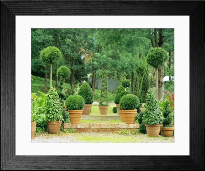 Framed Print : Topiary garden Gembrook, Dandenong Ranges, Victoria, Australia JLR05851 Framed Print : Topiary garden Gembrook, Dandenong Ranges, Victoria, Australia JLR05851