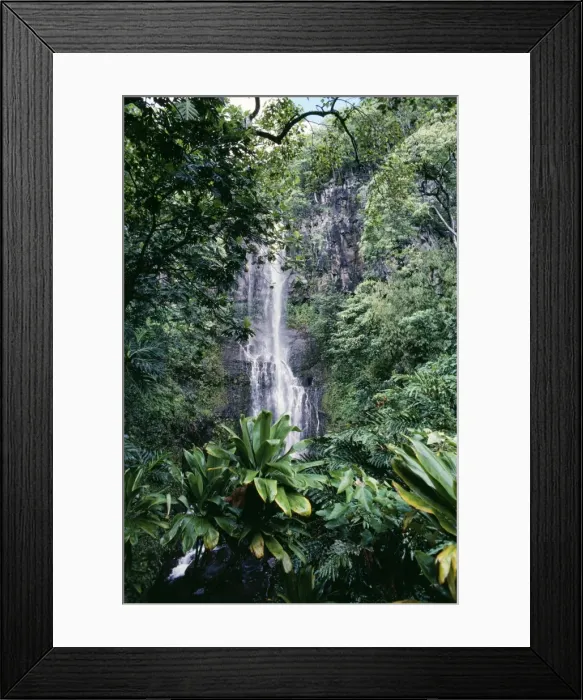 Framed Print : Hawaii - Wailua Falls and rainforest Maui Framed Print : Hawaii - Wailua Falls and rainforest Maui