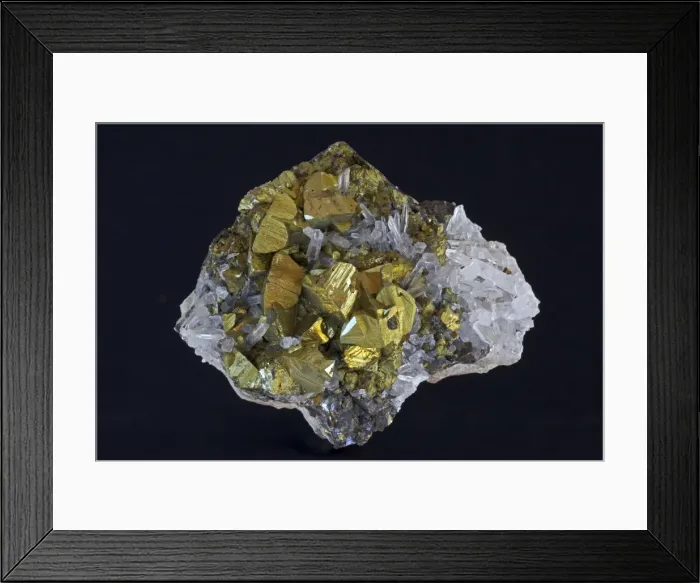 Framed Print : Chalcopyrite (CuFeS2) (Golden) - Peru - The major ore of copper - Copper Iron sulfide - Very important economic ore - Quartz SiO2 Framed Print : Chalcopyrite (CuFeS2) (Golden) - Peru - The major ore of copper - Copper Iron sulfide - Very important economic ore - Quartz SiO2