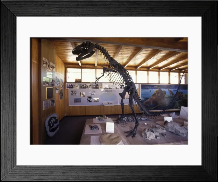 Framed Print : Dinosaurs: Cleveland-Lloyd Quarry Visitor Center South of Price City, Utah. The Cleveland-Lloyd quarry has yielded numerous skeletons of dinosaurs, most famously Allosaurus and Stegosaurus, as well as a few sauropods Framed Print : Dinosaurs: Cleveland-Lloyd Quarry Visitor Center South of Price City, Utah. The Cleveland-Lloyd quarry has yielded numerous skeletons of dinosaurs, most famously Allosaurus and Stegosaurus, as well as a few sauropods