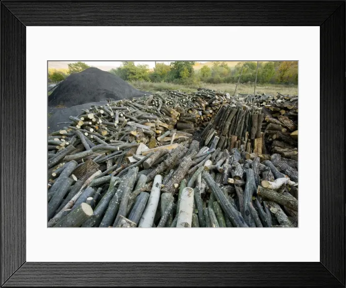 Framed Print : Wood-pile in the traditional charcoal-burner's yard at Viscri saxon village, Transylvania, Romania