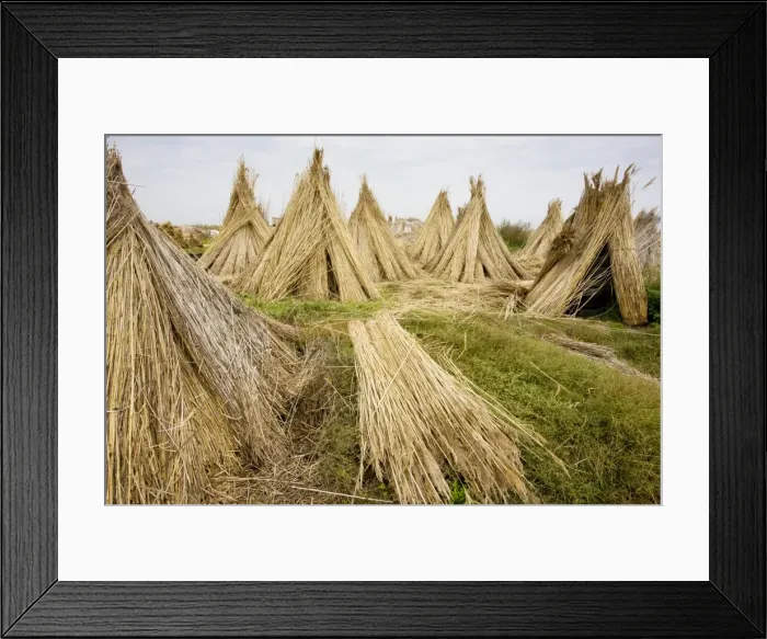 Framed Print : Reed-cutters yard on the plains of eastern Hungary, Hortobagy National Park, east Hungary Framed Print : Reed-cutters yard on the plains of eastern Hungary, Hortobagy National Park, east Hungary
