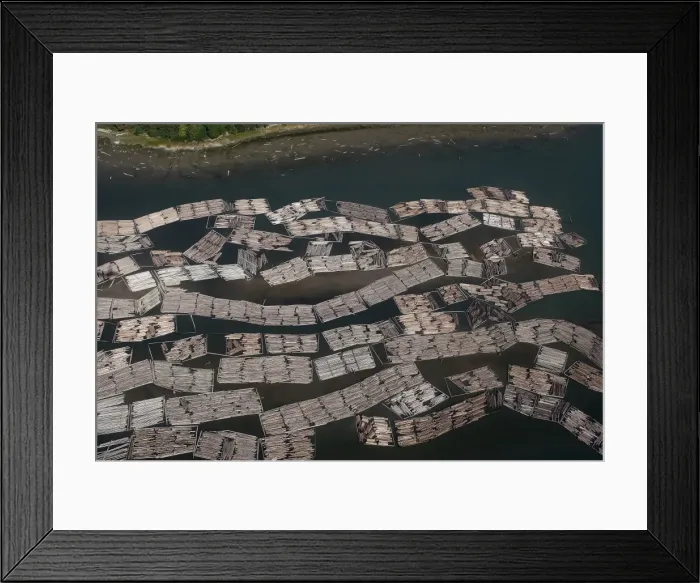 Framed Print : Aerial of mass of logs in water a wood train being floated to Vancouver. British Colombia - Canada Framed Print : Aerial of mass of logs in water a wood train being floated to Vancouver. British Colombia - Canada