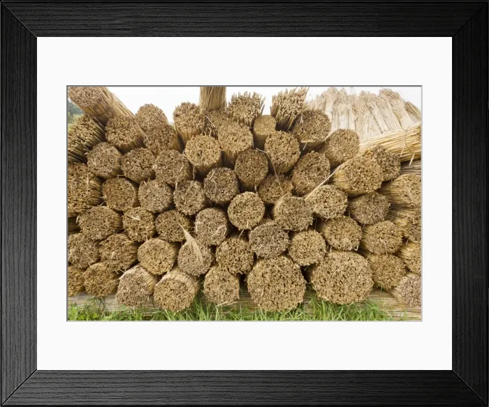 Framed Print : Reed-cutters yard on the plains of eastern Hungary, Hortobagy National Park, east Hungary Framed Print : Reed-cutters yard on the plains of eastern Hungary, Hortobagy National Park, east Hungary