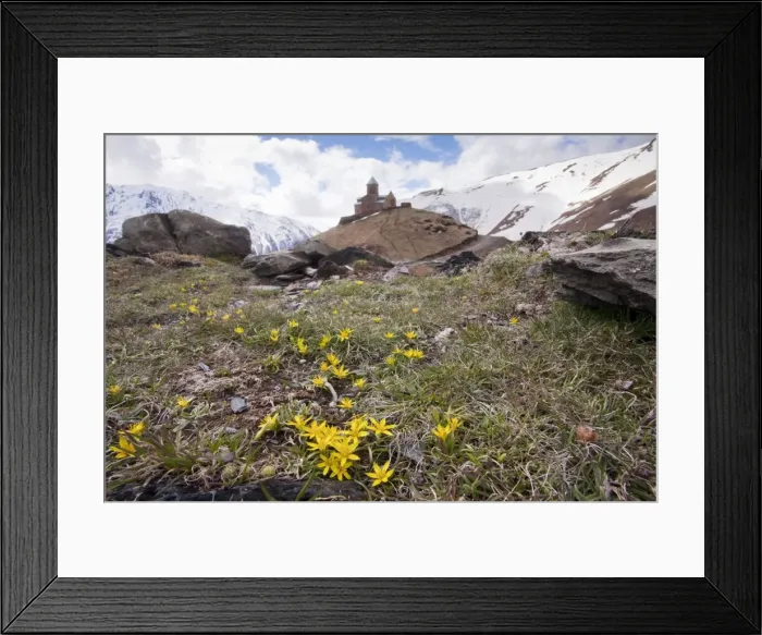 Framed Print : 14th century Gergeti Trinity Church (Georgian Orthodox) high in the mountains above Stepantsminda, with yellow stars-of-bethlehem; in the Great Caucasus, Georgia Framed Print : 14th century Gergeti Trinity Church (Georgian Orthodox) high in the mountains above Stepantsminda, with yellow stars-of-bethlehem; in the Great Caucasus, Georgia