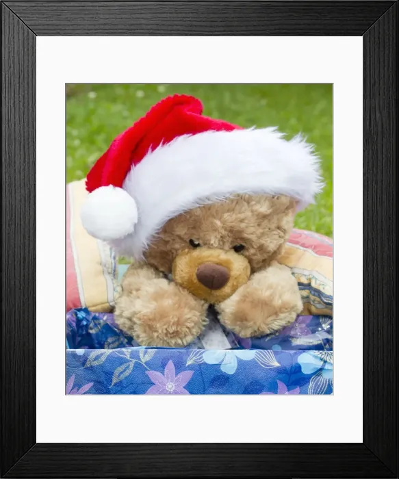 Framed Print : Teddy bear wearing Santa claus hat - Lower Saxony - Germany Framed Print : Teddy bear wearing Santa claus hat - Lower Saxony - Germany