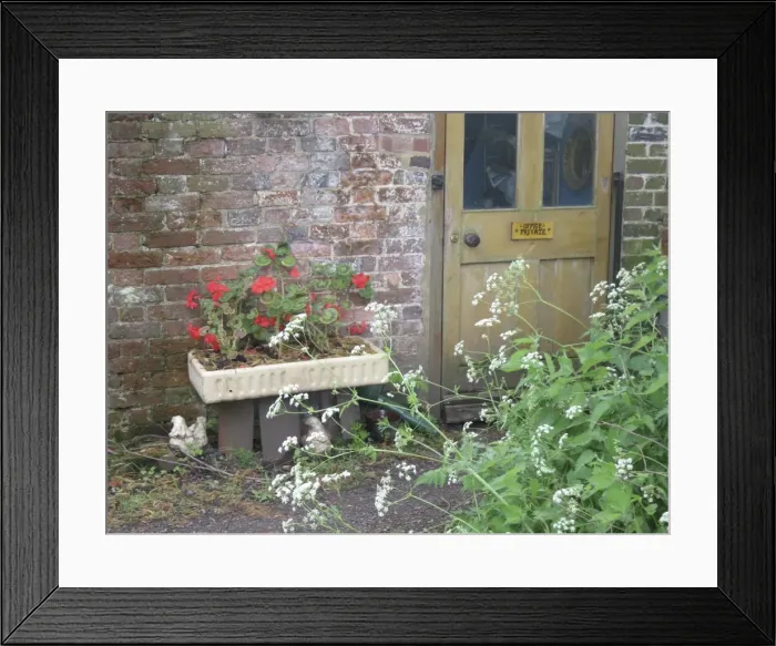 Framed Print : Cottage back door with geraniums and cow parsley Framed Print : Cottage back door with geraniums and cow parsley