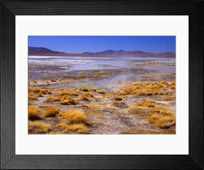 Framed Print : Thermas de Chalviri - Altiplano landscape with geothermal field of hot springs located at an altitude of about 4300 m above sea level - Reserva Nacional de Fauna Andina Eduardo Avaroa - Province Potosi - Bolivia - South America Framed Print : Thermas de Chalviri - Altiplano landscape with geothermal field of hot springs located at an altitude of about 4300 m above sea level - Reserva Nacional de Fauna Andina Eduardo Avaroa - Province Potosi - Bolivia - South America