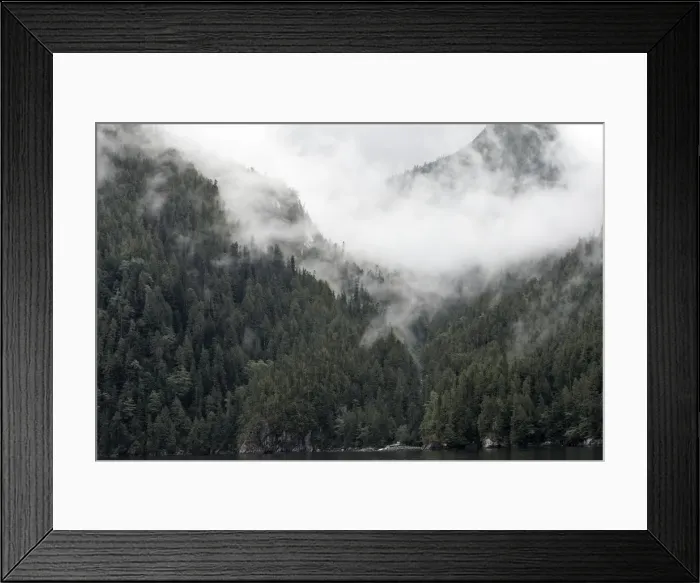 Framed Print : Temperate Rainforest & mist - Mussel Bay near Klemtu - British Colombia - Canada Framed Print : Temperate Rainforest & mist - Mussel Bay near Klemtu - British Colombia - Canada