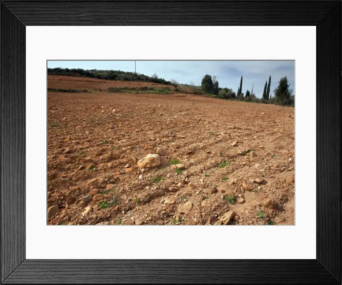 Framed Print : Flower-rich site - with many endemics - destroyed by ploughing - Mani peninsula - Greece Framed Print : Flower-rich site - with many endemics - destroyed by ploughing - Mani peninsula - Greece