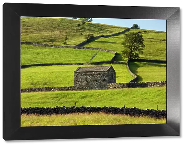 Barns and stone walls near Muker - Swaledale - Yorkshire Dales National Park - North Yorkshire