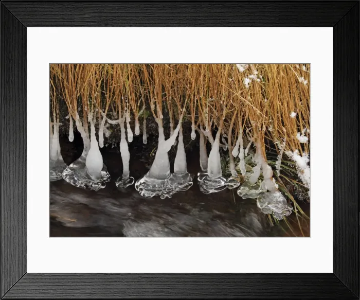 Framed Print : Icicles - at edge of river - Arch Mountain - Germany Framed Print : Icicles - at edge of river - Arch Mountain - Germany