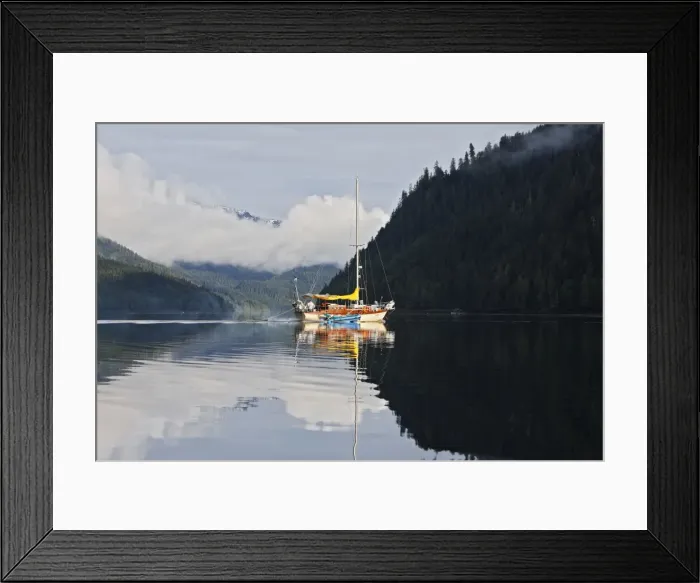 Framed Print : Estuary - with boat surrounded by temperate rainforest. Khuzemateen Grizzly Bear Sanctuary - British Colombia - Canada Framed Print : Estuary - with boat surrounded by temperate rainforest. Khuzemateen Grizzly Bear Sanctuary - British Colombia - Canada