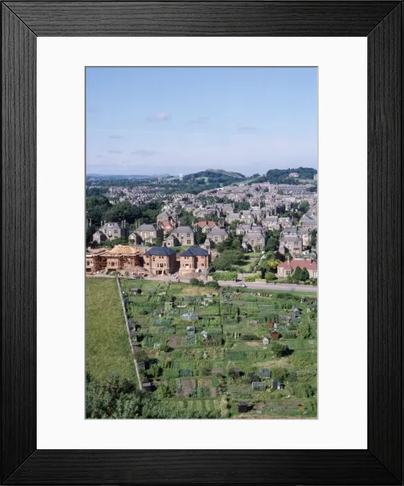 Framed Print : Alloments - land threatened by new housing. Edinburgh, Scotland Framed Print : Alloments - land threatened by new housing. Edinburgh, Scotland
