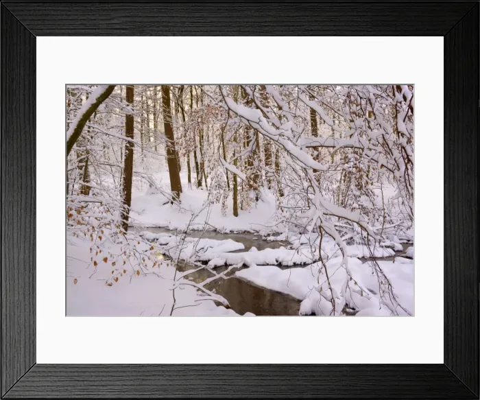 Framed Print : Frosty Winter Scene - winter landscape with thick snow covered branches of trees in a forest - with a creek - Swabian Alb - Baden-Wuerttemberg - Germany Framed Print : Frosty Winter Scene - winter landscape with thick snow covered branches of trees in a forest - with a creek - Swabian Alb - Baden-Wuerttemberg - Germany
