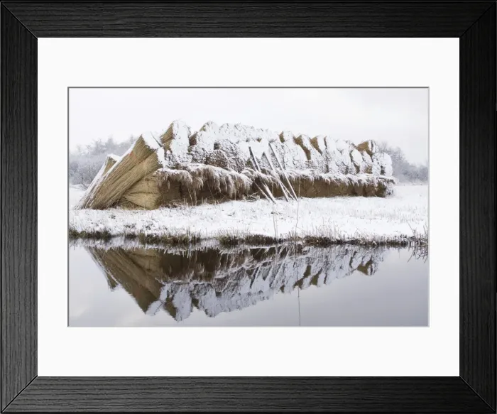 Framed Print : Reed culture - Stack of reed in winter, covered with snow - Overijssel, De Wieden - The Netherlands Framed Print : Reed culture - Stack of reed in winter, covered with snow - Overijssel, De Wieden - The Netherlands