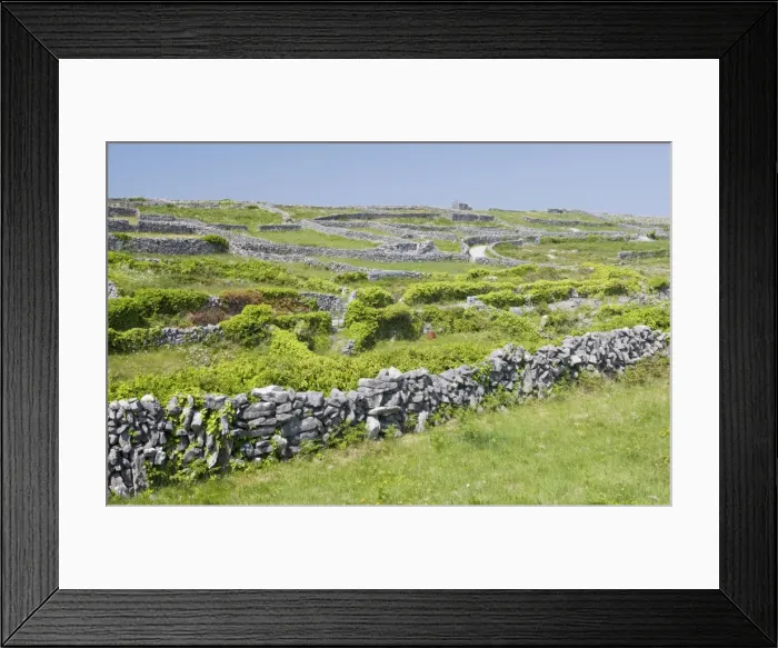Framed Print : Small limestone-walled old fields on Inisheer the Burren, western Eire Framed Print : Small limestone-walled old fields on Inisheer the Burren, western Eire