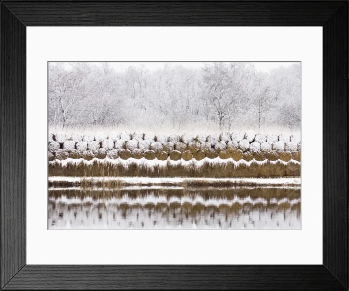 Framed Print : Reed culture - Stack of reed in winter, covered with snow The Netherlands, Overijssel, De Wieden Framed Print : Reed culture - Stack of reed in winter, covered with snow The Netherlands, Overijssel, De Wieden