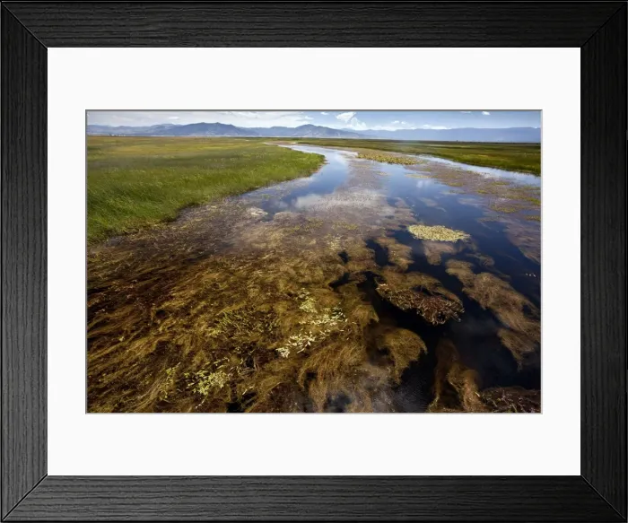 Framed Print : ROG-14348. ROG-14338. River full of aquatic plants