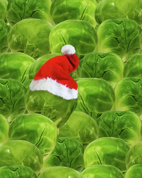 Brussels sprout - one with Christmas hat