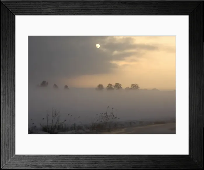 Framed Print : Landscape Overijssel NL with fog Framed Print : Landscape Overijssel NL with fog