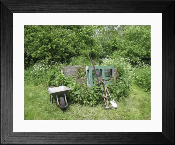Framed Print : Garden compost area with wheelbarrow and tools Framed Print : Garden compost area with wheelbarrow and tools