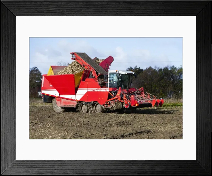Framed Print : Sugar Beet - harvesting machine - Seeland - Denmark Framed Print : Sugar Beet - harvesting machine - Seeland - Denmark