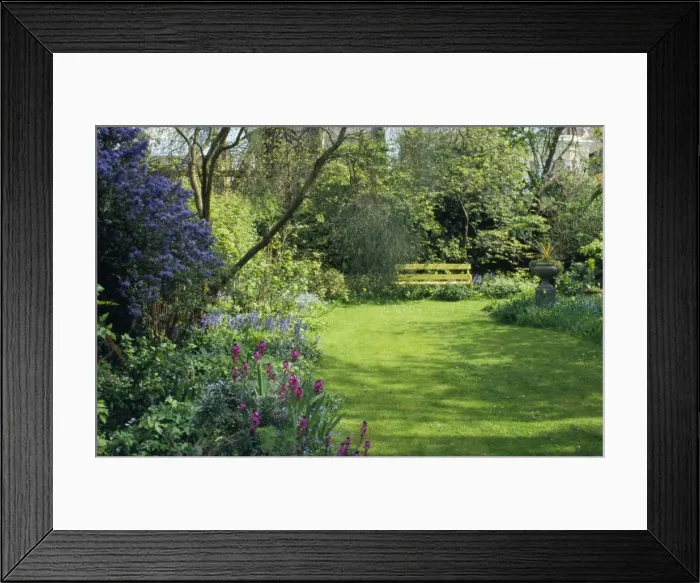 Framed Print : Garden - plants flowers & lawn, in spring Framed Print : Garden - plants flowers & lawn, in spring