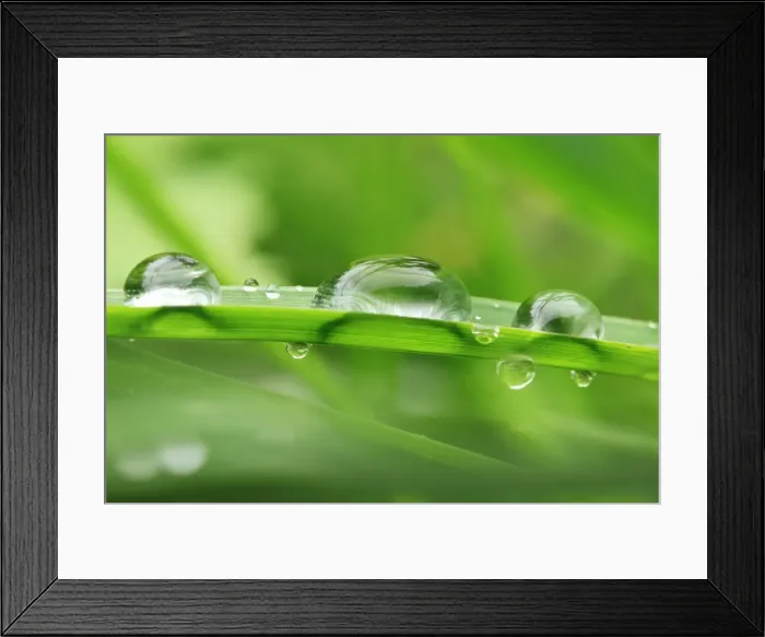 Framed Print : Water Droplets Framed Print : Water Droplets