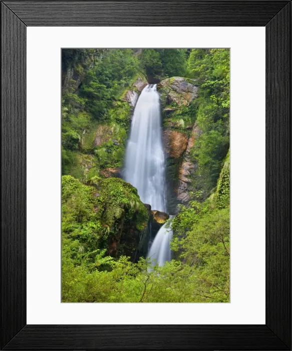 Framed Print : Cascada de la Virgen / Virgin's Falls - two-tiered waterfall devoted to the Virgin of immaculate conception - along Carretera Austral - Simpson River National Reserve - Province Aisen - Patagonia - Chile - South America Framed Print : Cascada de la Virgen / Virgin's Falls - two-tiered waterfall devoted to the Virgin of immaculate conception - along Carretera Austral - Simpson River National Reserve - Province Aisen - Patagonia - Chile - South America