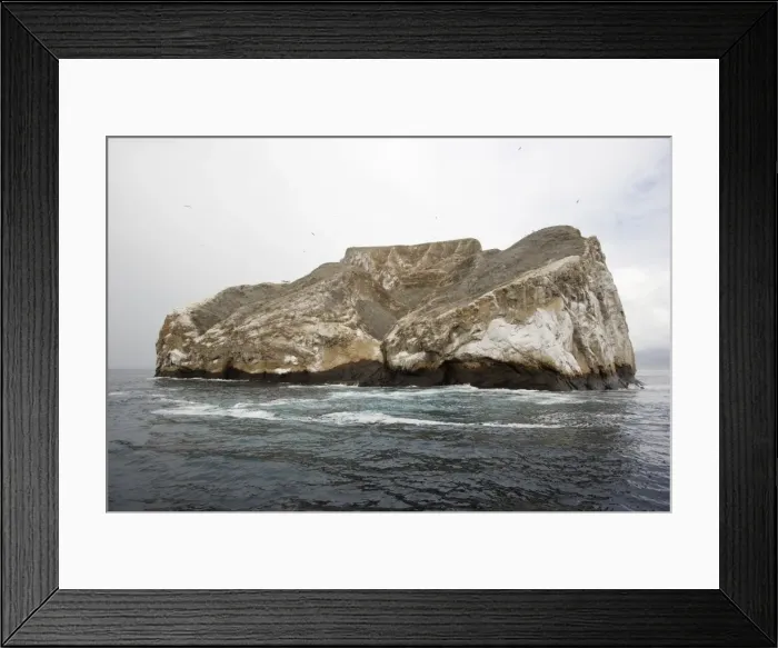 Framed Print : Sleeping Lion near San Cristobal Island. Galapagos Islands Framed Print : Sleeping Lion near San Cristobal Island. Galapagos Islands