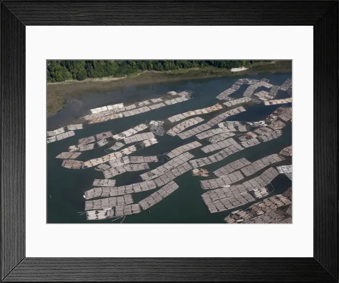 Framed Print : Aerial of mass of logs in water a wood train being floated to Vancouver. British Colombia - Canada Framed Print : Aerial of mass of logs in water a wood train being floated to Vancouver. British Colombia - Canada