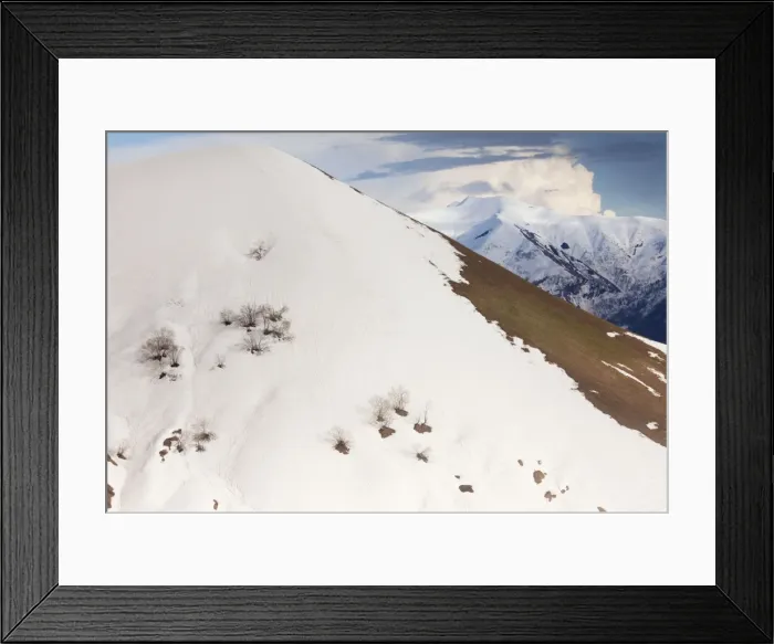 Framed Print : High altitude birch forest appearing from under the snow in the mountains around Gudauri in spring, in the Great Caucasus, Georgia Framed Print : High altitude birch forest appearing from under the snow in the mountains around Gudauri in spring, in the Great Caucasus, Georgia